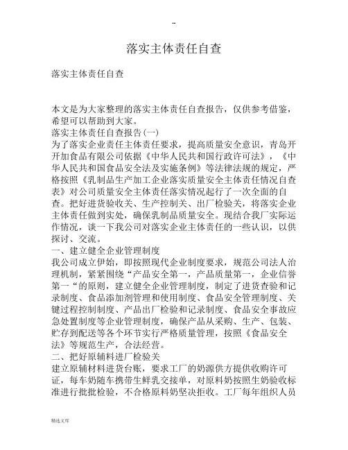 落实主体责任自查