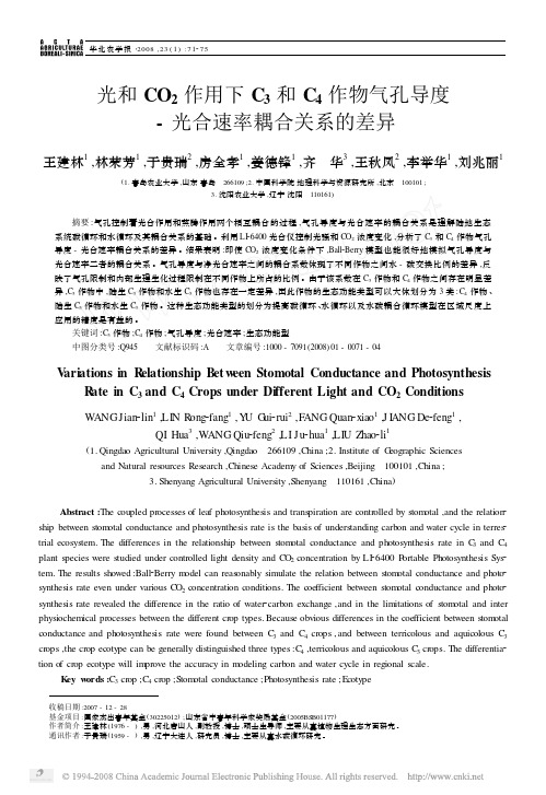 光和CO2 作用下C3 和C4 作物气孔导度-光合速率耦合关系的差异