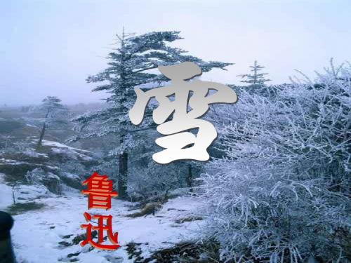 人教版八年级下册语文课件：6 雪