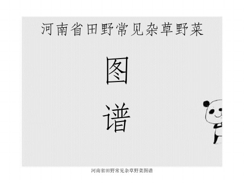 河南省田野常见杂草野菜图谱