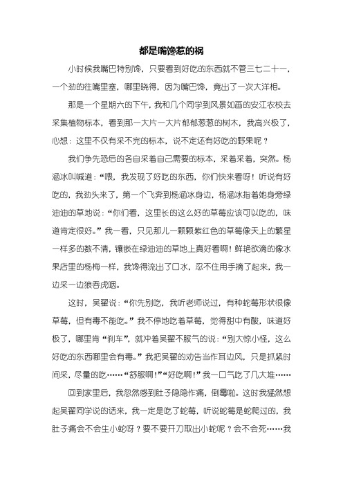 四年级作文：都是嘴馋惹的祸作文800字