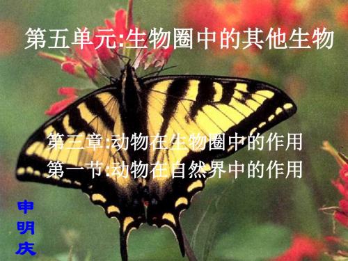 动物在自然界中的作用PPT课件15 人教版