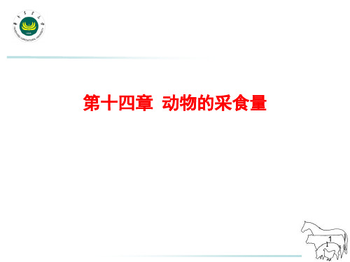 动物采食量PPT演示课件