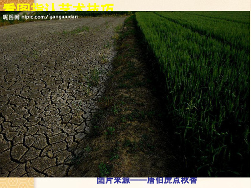 诗歌鉴赏之衬托对比渲染烘托_ppt