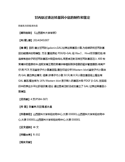 甘丙肽过表达转基因小鼠的制作和鉴定