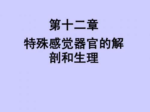 特殊感觉器官的解剖和生理PPT课件