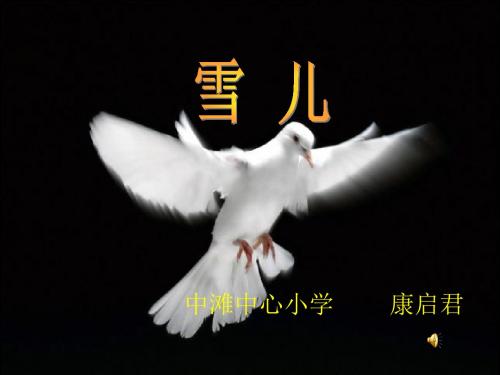 《雪儿》第一课时ppt