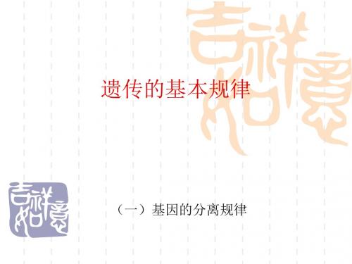 高中生物 (一)基因的分离规律-教学课件