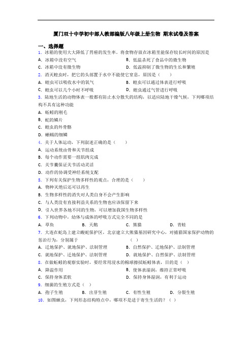 厦门双十中学初中部人教部编版八年级上册生物 期末试卷及答案