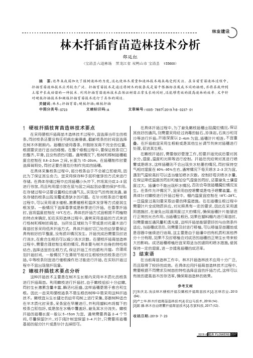 林木扦插育苗造林技术分析