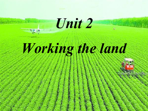 人教版高中英语必修四课件：Unit-2-Working-the-land-Words-and-exp