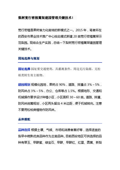 梨树宽行密植篱架建园管理关键技术