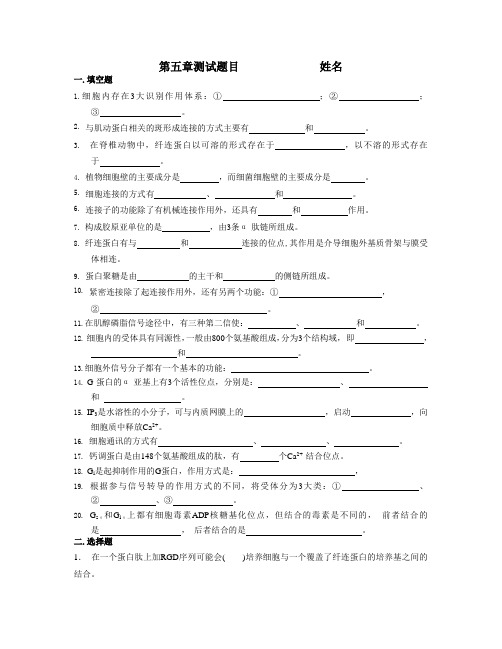 4测试