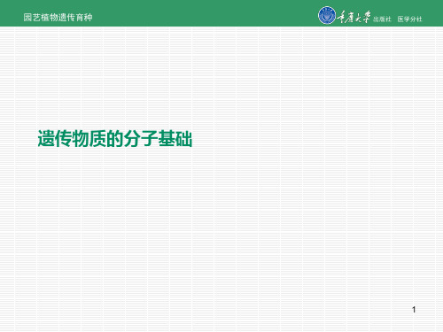 遗传物质的分子基础PPT课件