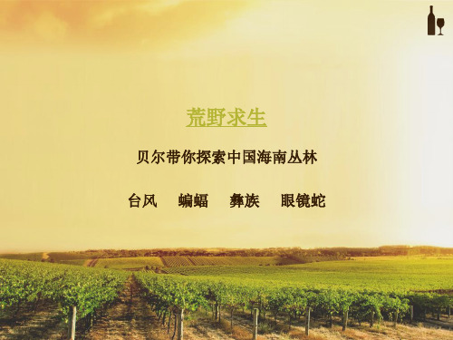 贝尔·格里尔斯——荒野求生