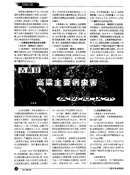 古蔺县高粱主要病虫害及防治技术