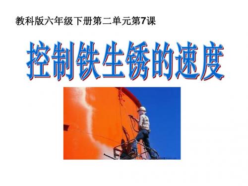 2.7 控制铁生锈的速度
