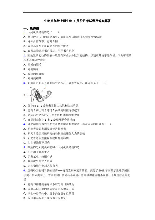 生物八年级上册生物 1月份月考试卷及答案解答