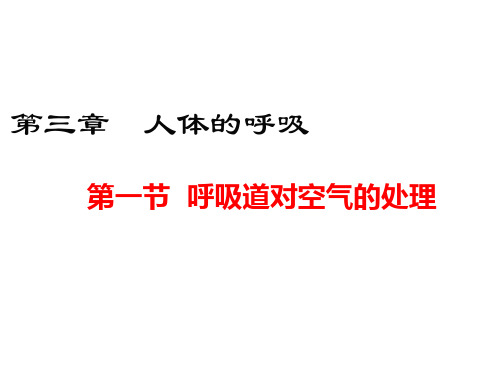 2020-2021学年人教版七年级生物下册第三章人体的呼吸复习课-课件