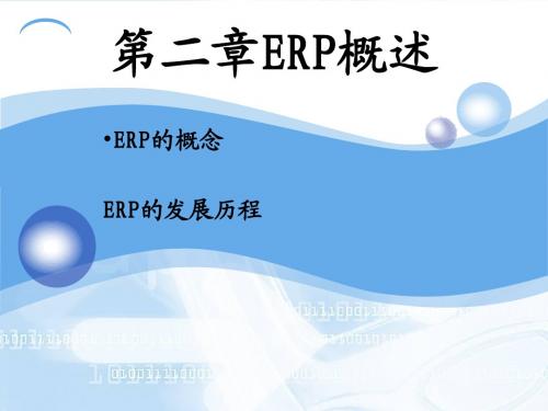 企业资源计划