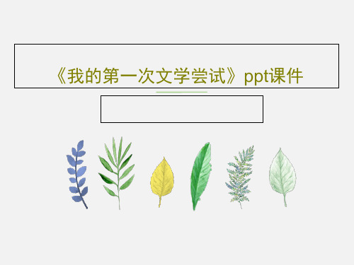 《我的第一次文学尝试》ppt课件39页PPT