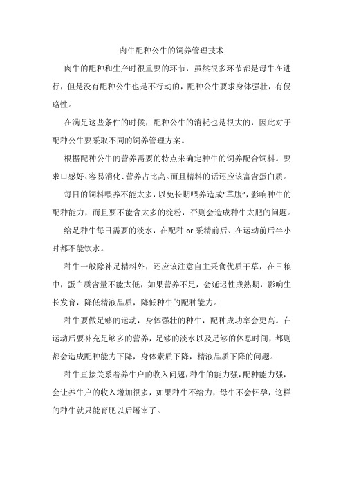 肉牛配种公牛的饲养管理技术----赵迎会