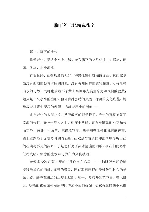 脚下的土地精选作文
