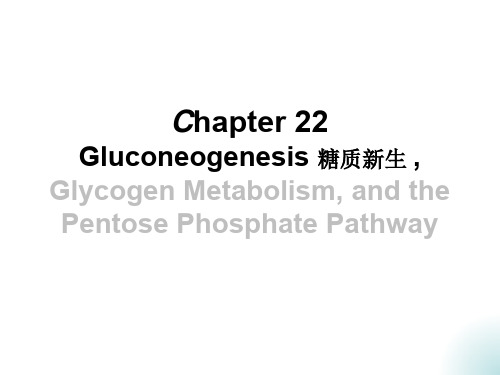 Chapter 22 Gluconeogenesis