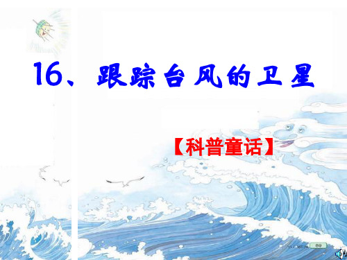 跟踪台风的卫星ppt 