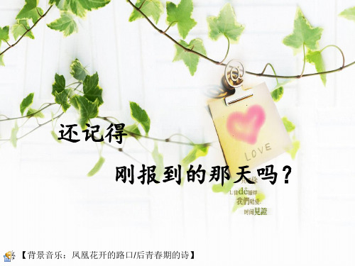 大学班级团日活动总结PPT