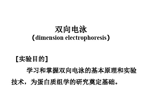 2014-双向电泳(王)