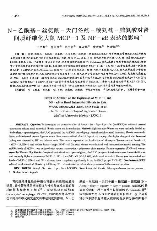 N-乙酰基-丝氨酰-天门冬酰-赖氨酰-脯氨酸对肾间质纤维化大鼠MCP-1及NF-κB表达的影响