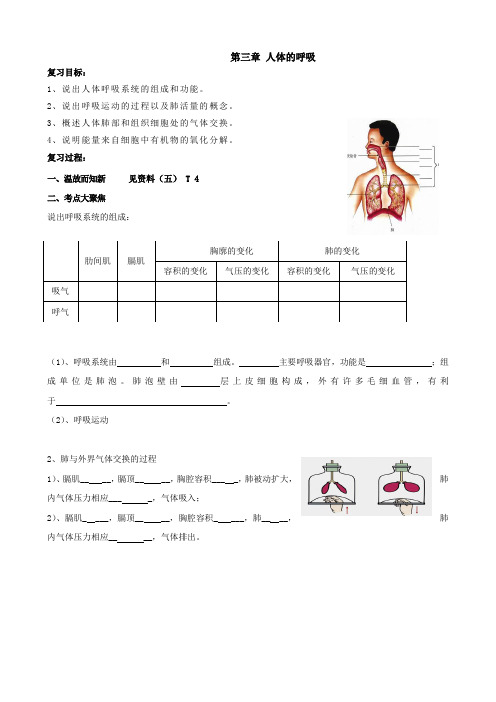生物：4.3《人体的呼吸》复习学案1(人教版七年级下)