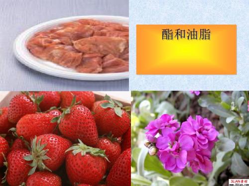 酯和油脂、糖类、蛋白质 PPT 鲁科版
