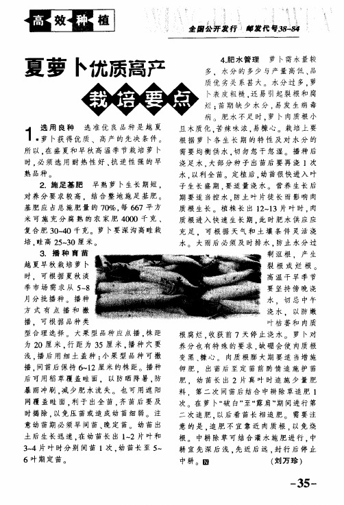 夏萝卜优质高产栽培要点