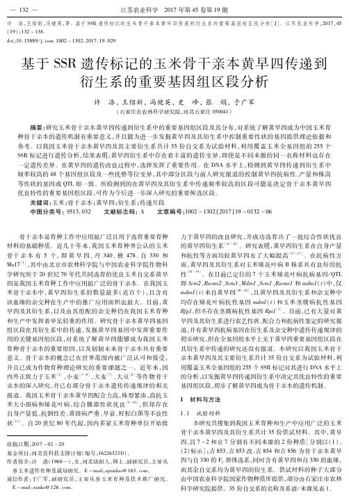 基于SSR遗传标记的玉米骨干亲本黄早四传递到