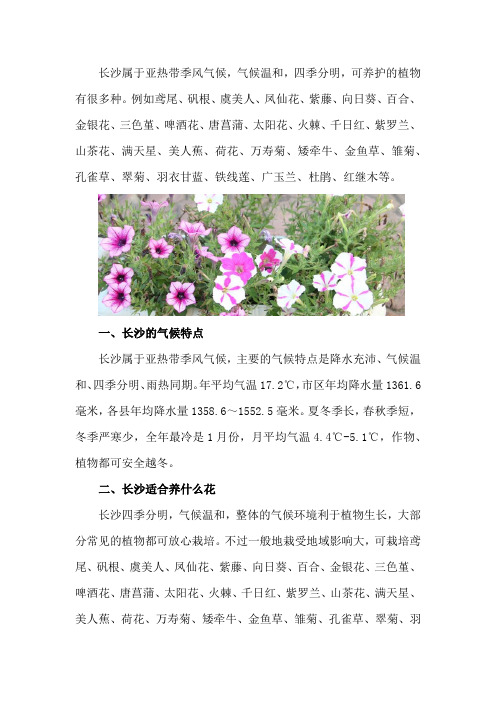 长沙适合养什么花,市花和市树是什么