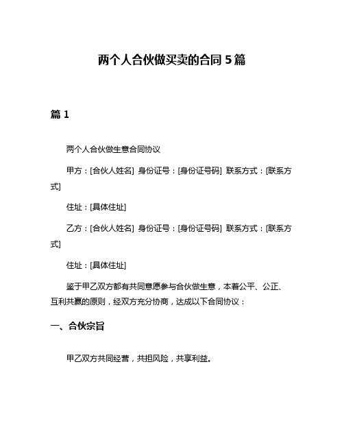 两个人合伙做买卖的合同5篇