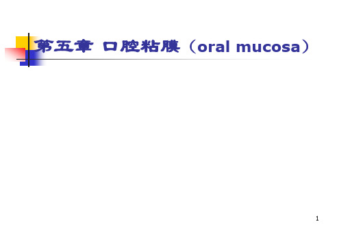 口腔粘膜