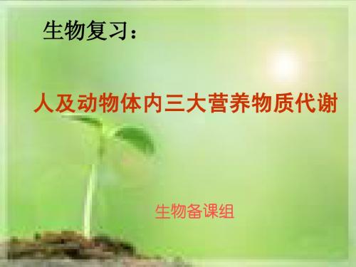 人及动物体内三大营养物质代谢