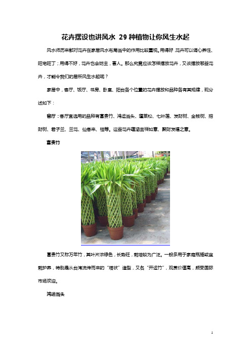 花卉摆设也讲风水 29种植物让你风生水起
