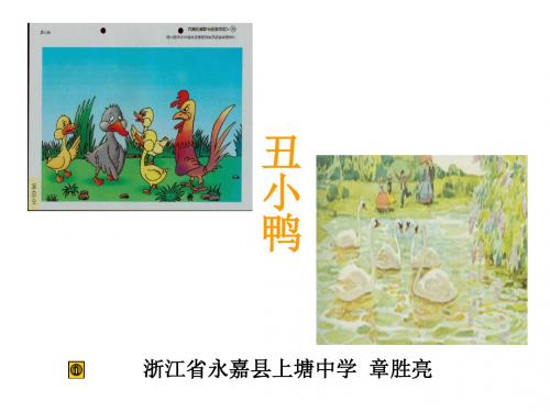 丑小鸭PPT51 人教版 (共16张PPT)