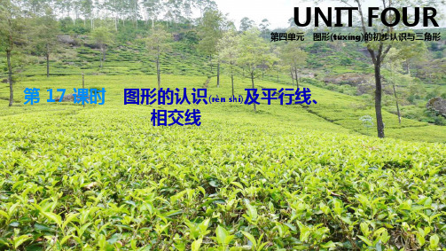 中考数学总复习 第四单元 图形的初步认识与三角形 第17课时 图形的认识及平行线、相交线课件