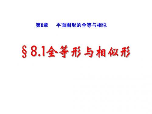 8.1平面图形的全等与相似课件