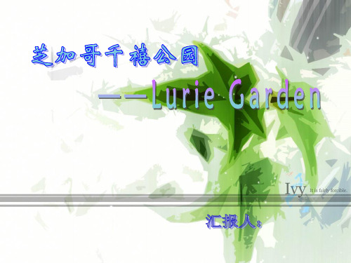 芝加哥千禧公园Luie Garden