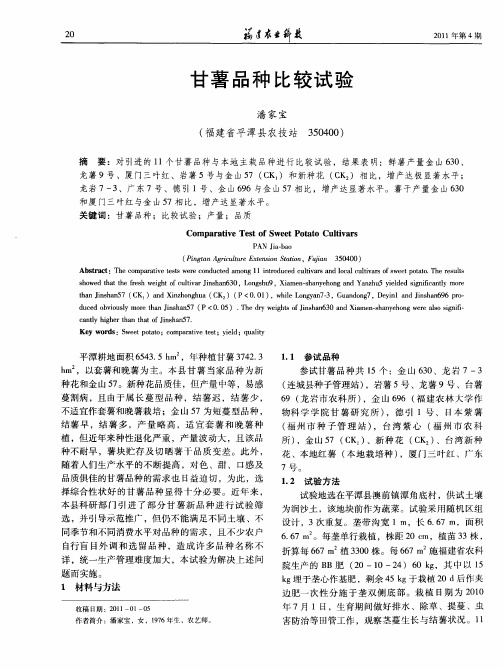 甘薯品种比较试验