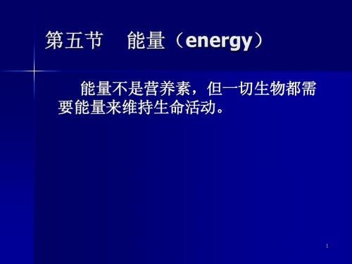 第五节    能量(energy)