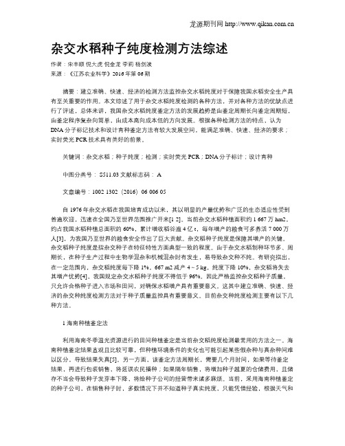 杂交水稻种子纯度检测方法综述