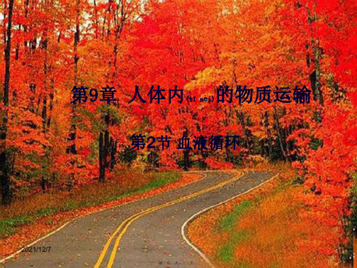 七年级生物下册第9章第二节血液循环4