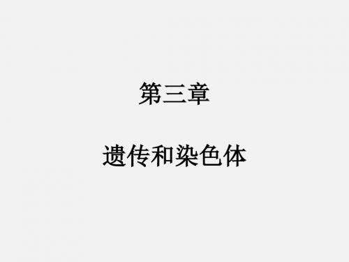 高一生物苏教版必修二第三章 一节基因的分离定律(1)精选教学PPT课件
